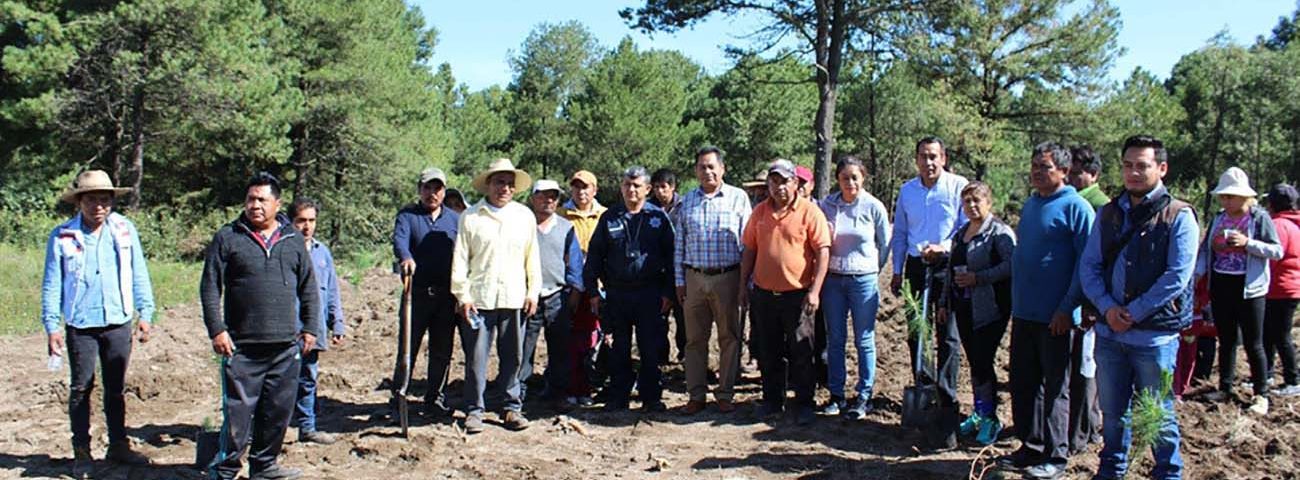 Campesinos de SPM inician reforestación con apoyo del presidente municipal