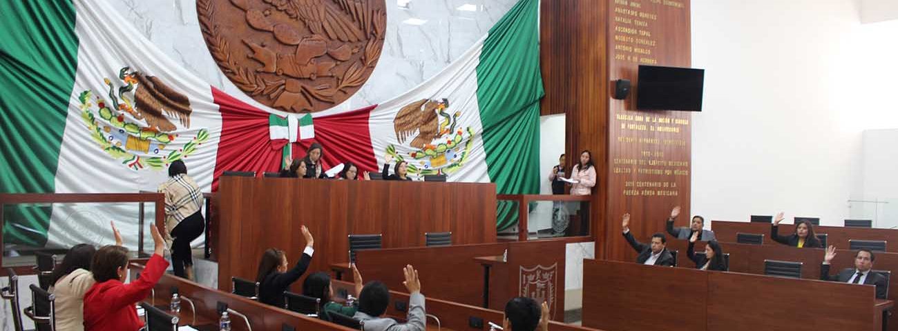 Ana Bertha Mastranzo, comité de transparencia