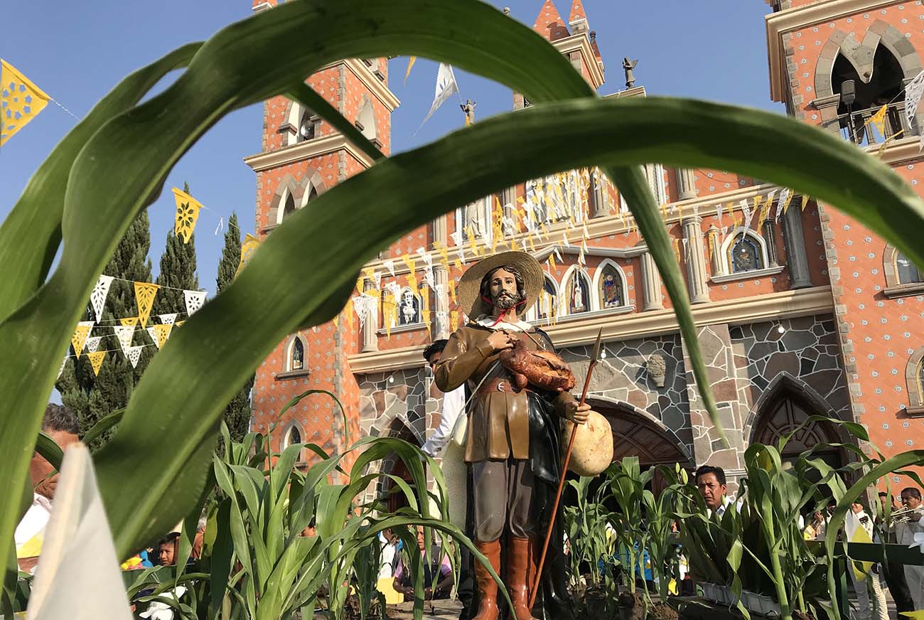 Sin feria ni festejos a San Isidro Labrador, patrono de los campesinos ...